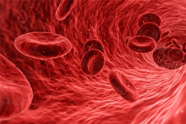 梦见血是什么意思 梦见血是什么意思