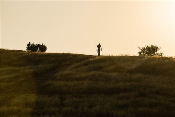 梦见单身汉是什么意思 梦见单身汉是什么意思
