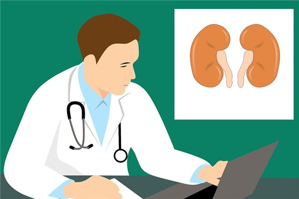 梦见肾是什么意思 梦见肾是什么意思