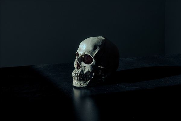 梦见头骨是什么意思 梦见头骨是什么意思