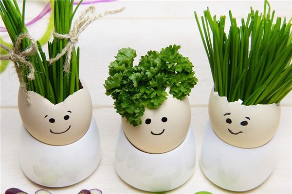 梦见韭菜是什么意思 梦见韭菜是什么意思