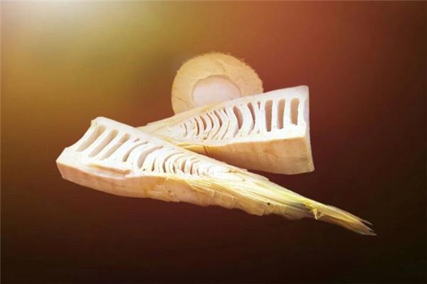 梦见竹笋是什么意思 梦见竹笋是什么意思