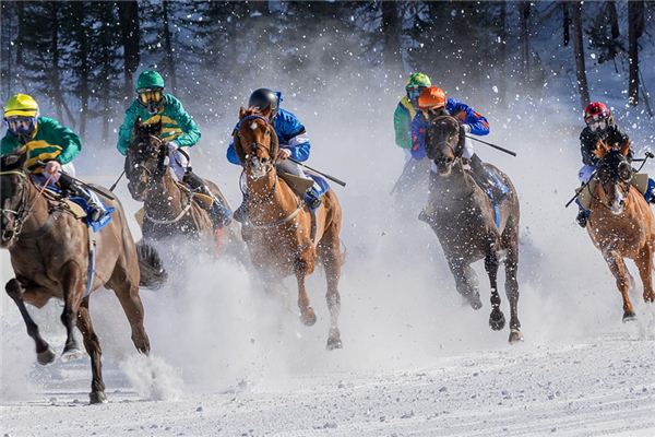 梦见赛马是什么意思 梦见赛马是什么意思