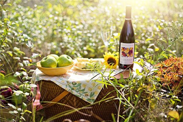 梦见野餐是什么意思 梦见野餐是什么意思