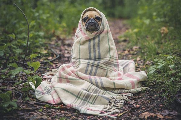 梦见温暖是什么意思 梦见温暖是什么意思