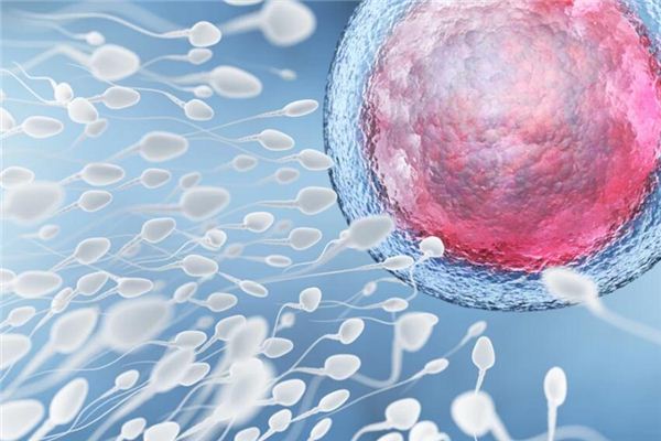 梦见精液是什么意思 梦见精液是什么意思