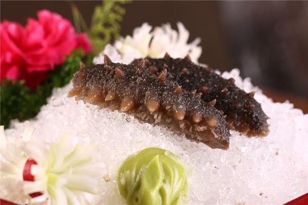 梦见海参是什么意思 梦见海参是什么意思