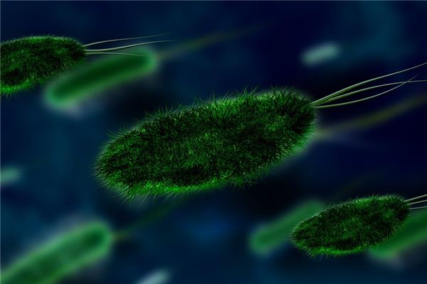 梦见痢疾是什么意思 梦见痢疾是什么意思